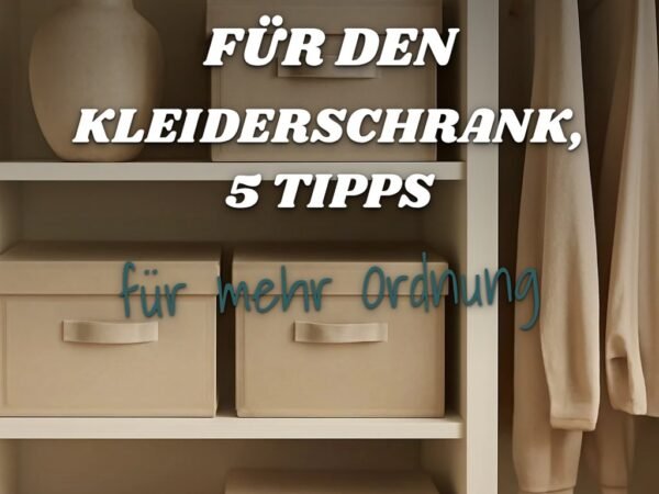 10 Stoffboxen für den Kleiderschrank, 5 Tipps, unter 100 Euro — der große Check