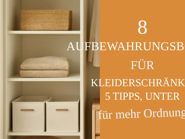 8 Aufbewahrungsboxen für Kleiderschränke, 5 Tipps, unter 100 Euro — der große Check