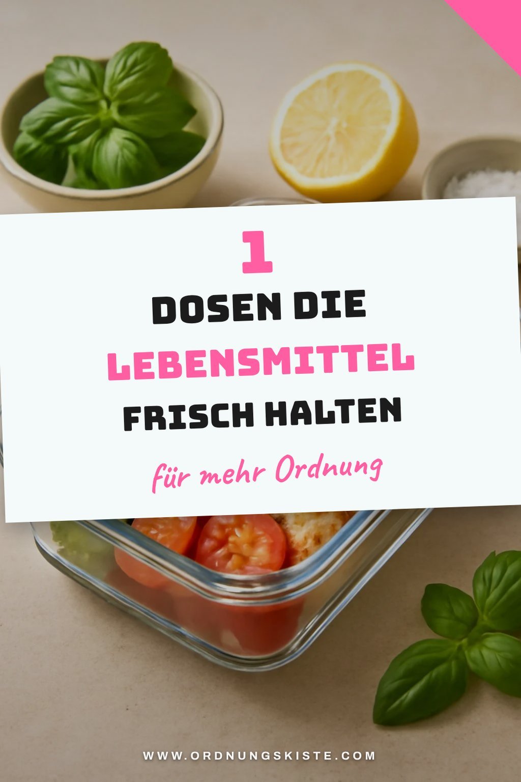 Mehr Empfehlungen aus dieser Kategorie