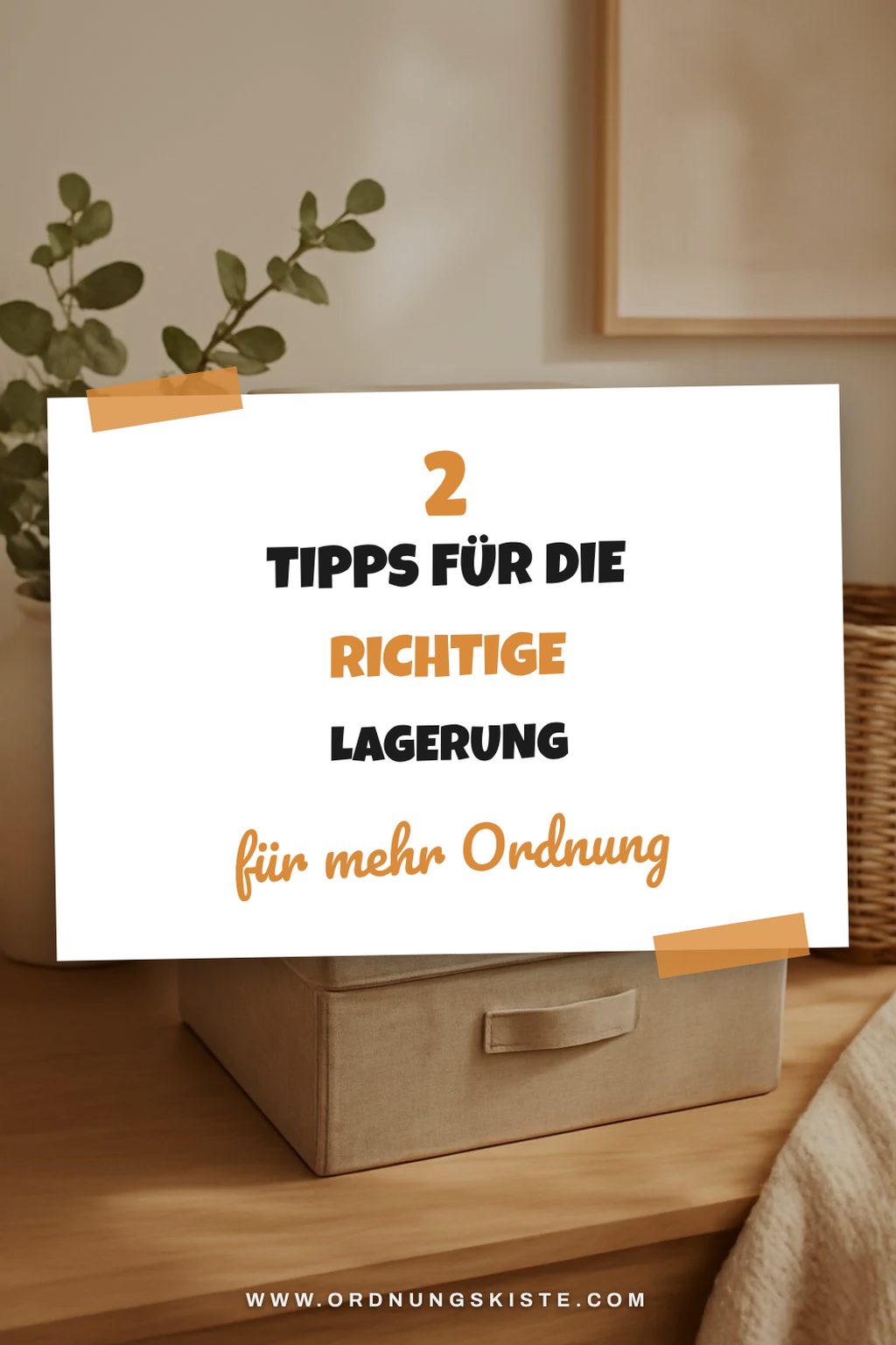 Diese 4 Tipps für die richtige Lagerung