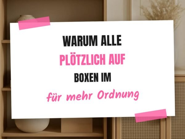 Warum alle plötzlich auf Boxen im Kleiderschrank setzen
