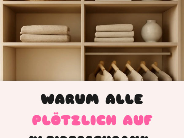 Warum alle plötzlich auf Kleiderschrank-Organizer setzen