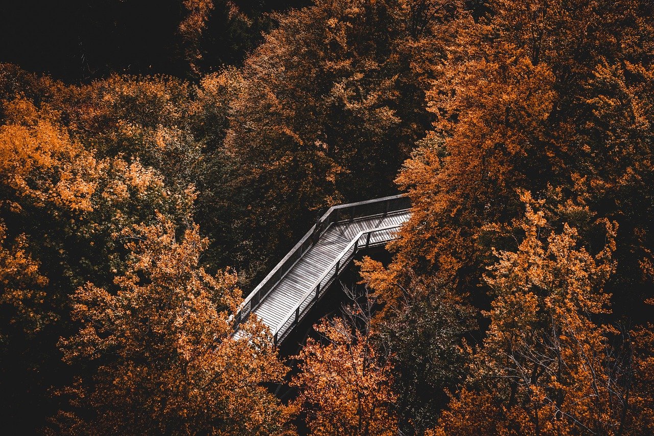 9 Herbstdeko Ideen Regal zum Nachmachen