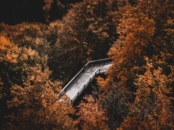 9 Herbstdeko Ideen Regal zum Nachmachen